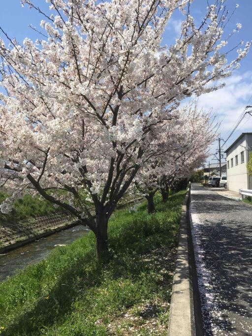 宿や　サニービレッジ Kashihara  Dış mekan fotoğraf